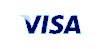 small icon for visa